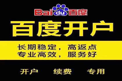 专业网站SEM托管服务案例展示